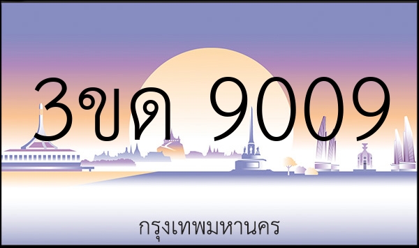 3ขด 9009